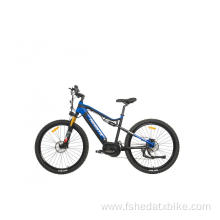 Mountain E-bikes in A Variety of Designs